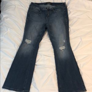 Torrid Premium Stretch Jeans Slim Bootcut